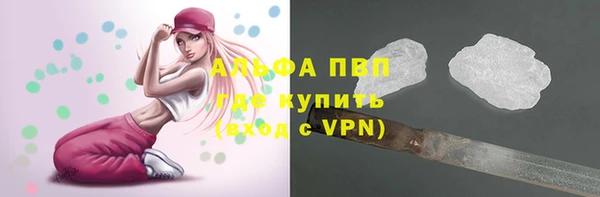 2c-b Пересвет