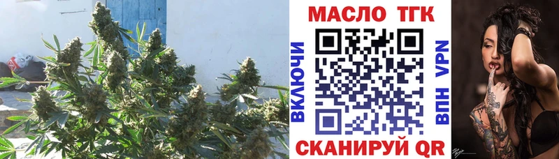 Дистиллят ТГК Wax  как найти   Балей 