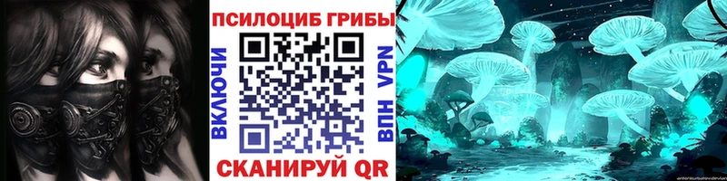 где можно купить наркотик  Балей  Псилоцибиновые грибы мухоморы 